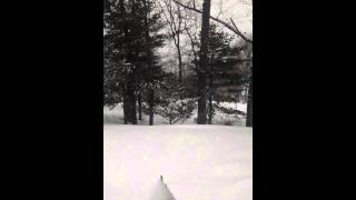 preview picture of video 'Blizzard 1/26/15 through 1/28/25 Chelmsford, MA'