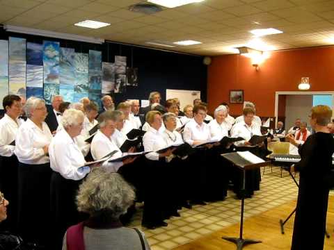 Le printemps de Novel