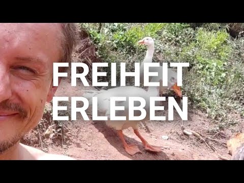 LEBEN ALS AUSSTEIGER IN PERU - Haben Oder Sein?