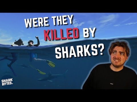 The (True) Mysterious Story Behind 'Open Water'