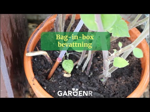 Bag-in-box irrigation - Gardenhacks by GardenR