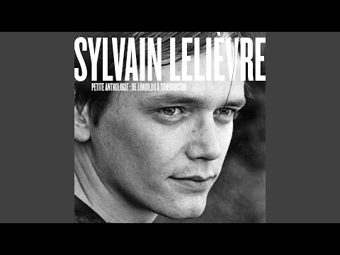 La Banlieue - Sylvain Lelièvre