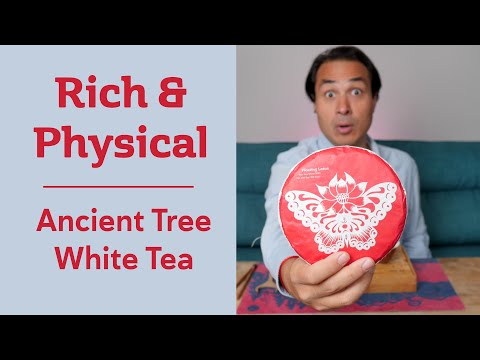 Gorgeous Yunnan White Tea from Ancient Trees - FLOATING LOTUS