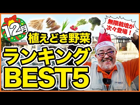  8月には何を植えますか？季節の主役野菜や花々にズームアップ！  庭園