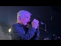 The Wedding Present - Deer caught in the Headlights - Live @ Molotow, Hamburg - 12/2025