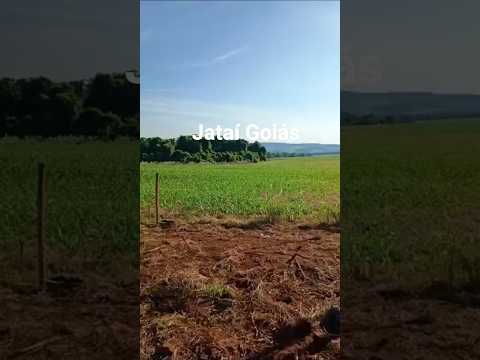 Jataí Goiás 29/11/2025