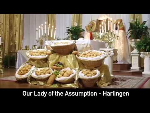 2019 Holy Thursday Mass