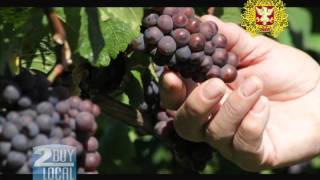 preview picture of video 'Umpqua Winery - Henry Estate Winery'