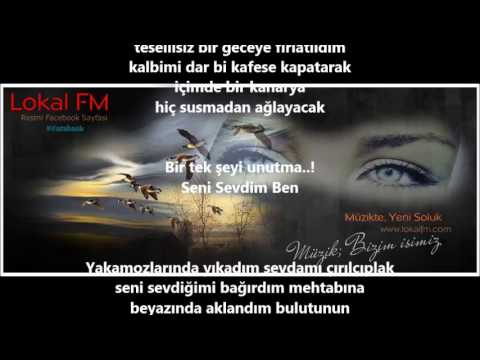 Naşide Göktürk - Seni Sevdim Ben...Seslendiren Ela