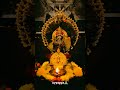 Sami Saranam Ayyappa Whatsapp Status Video 4k Hd Video Tamil Sami Saranam Ayyappa Song