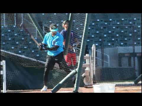 Victor Victor Mesa, OF, Miami Marlins