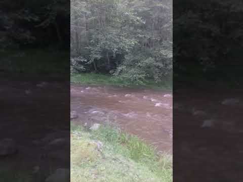 Argeș / Dambovicioara #Saticul de SuS