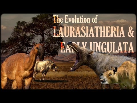 Evolution of Laurasiatheria and Early Ungulates