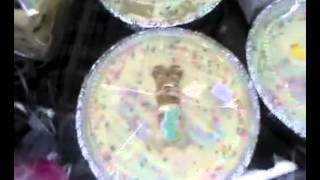 preview picture of video 'Easter treats for your pet @ KINGS CANINE COOKIES'