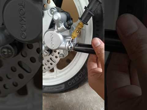 Vario brake fluid filling process? #vario #fluid #brake