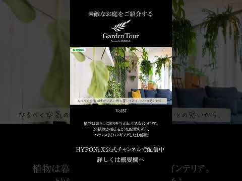 照明 スイミングプールの輪郭を配置する方法 木の植物の庭