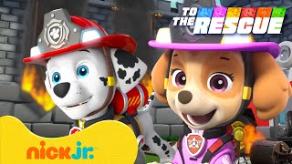 Download lagu PAW Patrol Fire & Air Rescues! 🚁🚒 w/ Skye & Marshall | Nick Jr. mp3