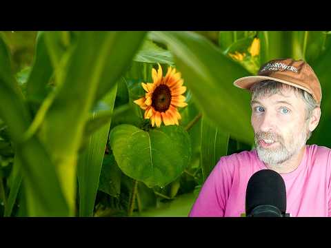 Maintaining Wellness for Sustainable Farming Practices