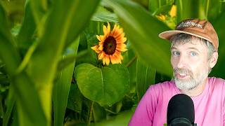 Staying Healthy Enough To Farm Healthy Food