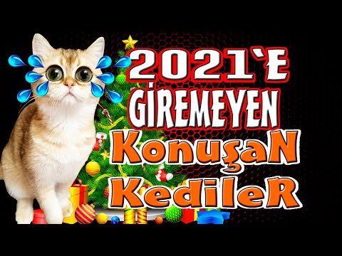2021'e Giremeyen Konuşan Kediler - Komik Kedi Videoları