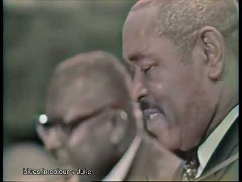 Sonny Terry & Brownie McGhee - Stranger Blues live [Colourised] 1964