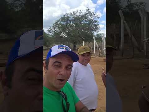 Direto do Pernambuco