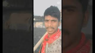 Akhilesh Yadav Samajwadi Party shayari Samajwadi status Vijay shayari show