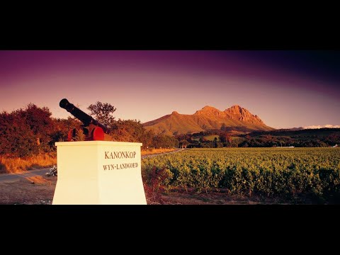 Kanonkop Wine Estate