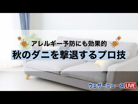 鶏のワクモの治療法は何ですか?イエダニを駆除するために取るべき手順  庭園