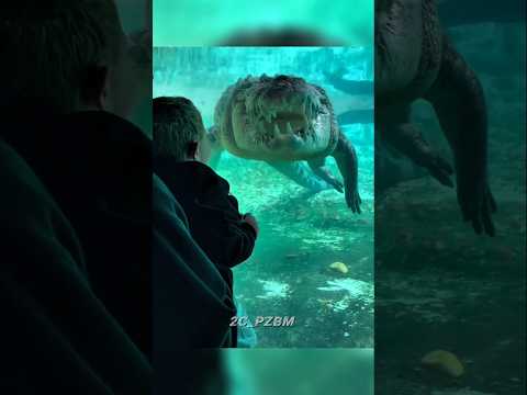 “Power of Animal Transformation 💀