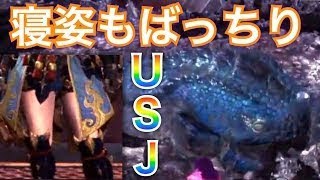 【MHW実況】でかドドガマル襲来！防具も優秀なUSJクエに連れてってもらうw【モンハンワールド】