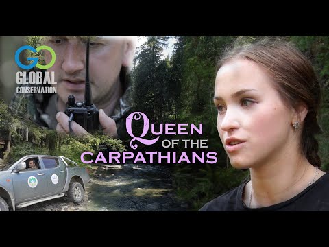 Queen of the Carpathians