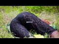 BAIKOKO MATAKO MALAINI CHURA BAIKOKO SINGELI BUZA HUKO HATARI MIUNO KAMA YOTE SIO POA