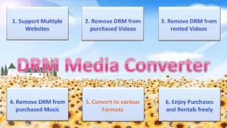 Introducing DRM Media Converter (Remove DRM and Convert Video/Audio on Windows)