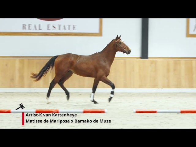 Artist-K van Kattenheye