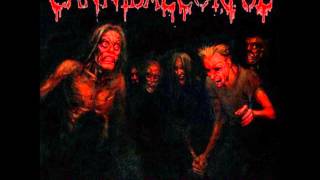 Cannibal Corpse - Evidence In The Furnace[Lyrics]