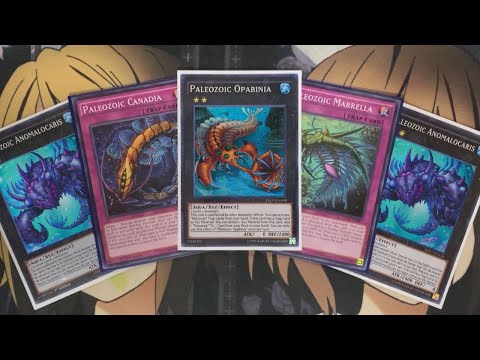 My Paleozoic Frogs Yugioh Deck Profile for October 2020