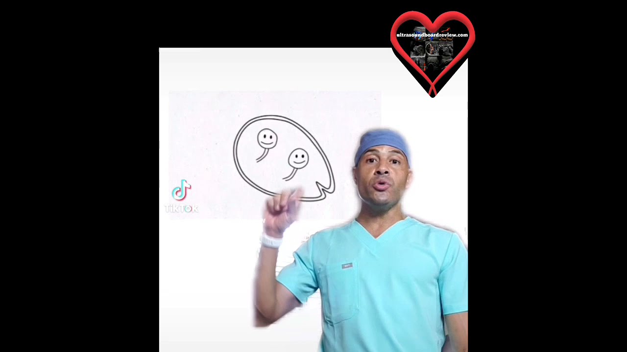 Twin Pregnancies Ultrasound