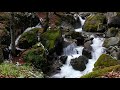 NO ADS || Three Hours of Soothing Waterfall Sounds || Calming, Relaxing, Sleep, Study, Work