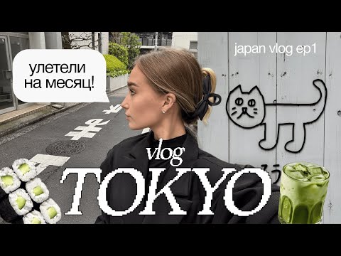 VLOG Япония 🇯🇵 улетела на целый месяц | VLOG ТОКИО