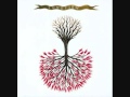 lungfish - love is love lp 