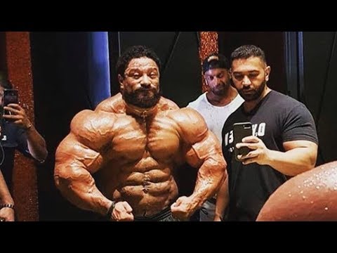 Rollei ROELLY Rollei ... - Novedades Mr olympia 2018