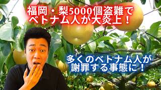福岡・梨5000個盗難でベトナム人が大炎上!多くのベトナム人が謝罪する事態に!