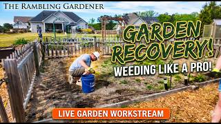 Satisfying Garden Work | No Music, No Talking