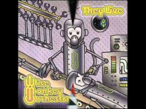 Wise Monkey Orchestra - Make Believe - Jerry's Tune