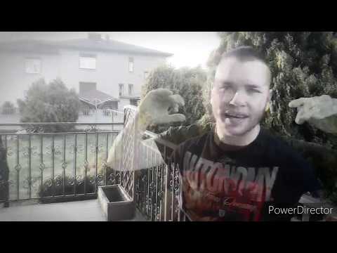 OLI ZWP #HOT16CHALLANGE2