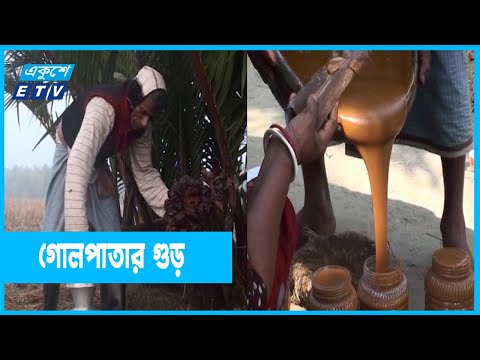 গোলপাতার গুড়ের কদর বাড়ছে