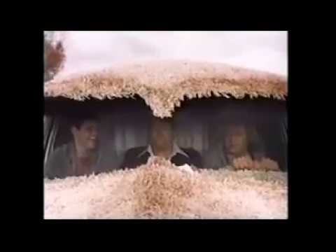 Siskel & Ebert - Dumb and Dumber