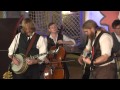 The Treehouse Sessions - The Last Bison (Cover ...
