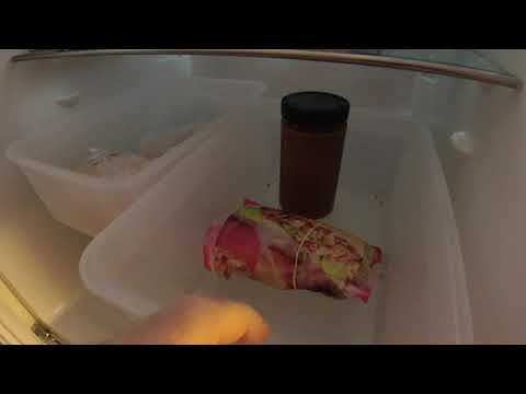 MongoTV_5806 - John Venter På Bedre Tider - Del 531 - Dag 911 af 1.000 Dage